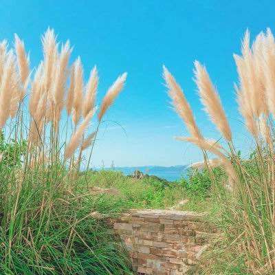 ku娱乐官网登录app下载