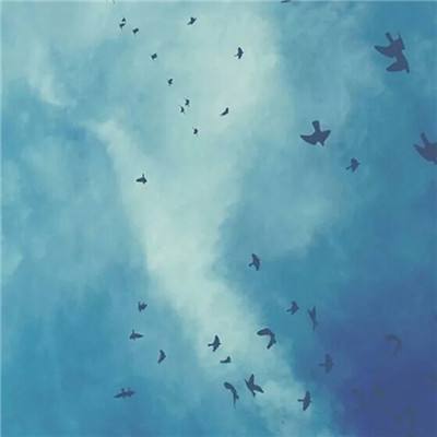 幸运彩票app官方版下载