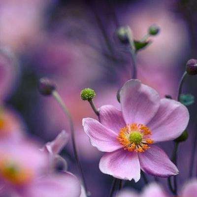 hg8868体育皇冠地址