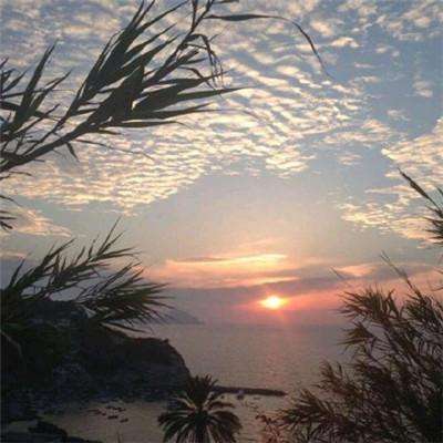 必威体育西汉姆体育