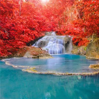 足球彩票正规app下载