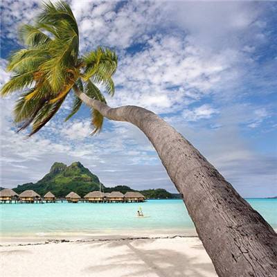 江南登录入口APP下载