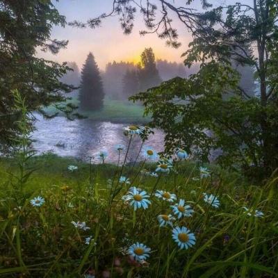 竞彩足球app官网下载截图