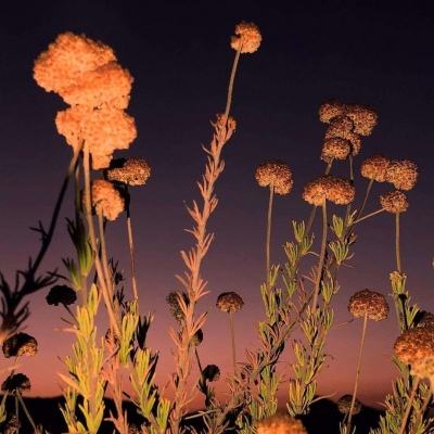 快三彩票app平台官方下载