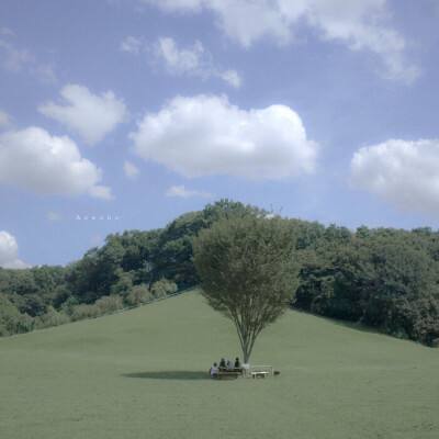 星空体育appapp下载