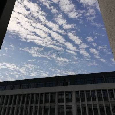 2023澳门管家婆资料正版大全下载手机版