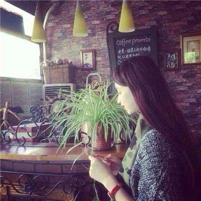 赏金女王官网正版下载