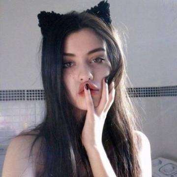 澳门天天免费资料大全下载app下载